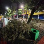 Temporal derruba árvores, alaga ruas e deixa casas sem energia em várias regiões de Londrina